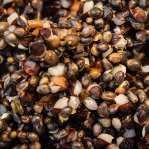 Hemp and Buckwheat